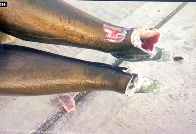 estatua cristina rota 2