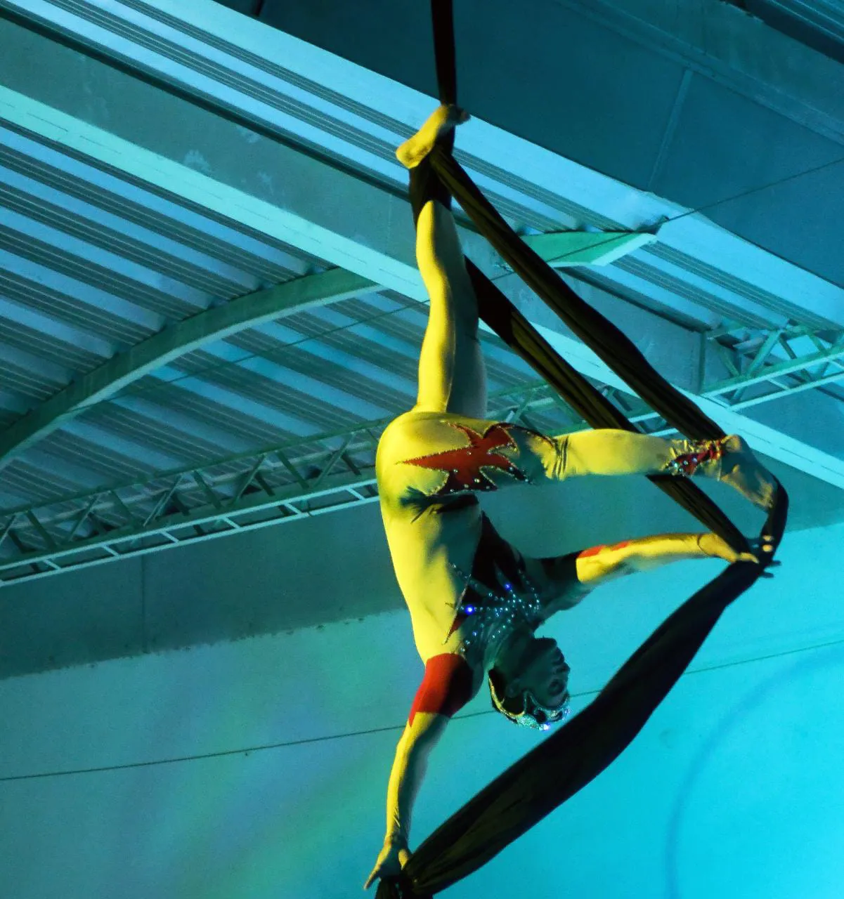 Fantasia sobre hielo 6