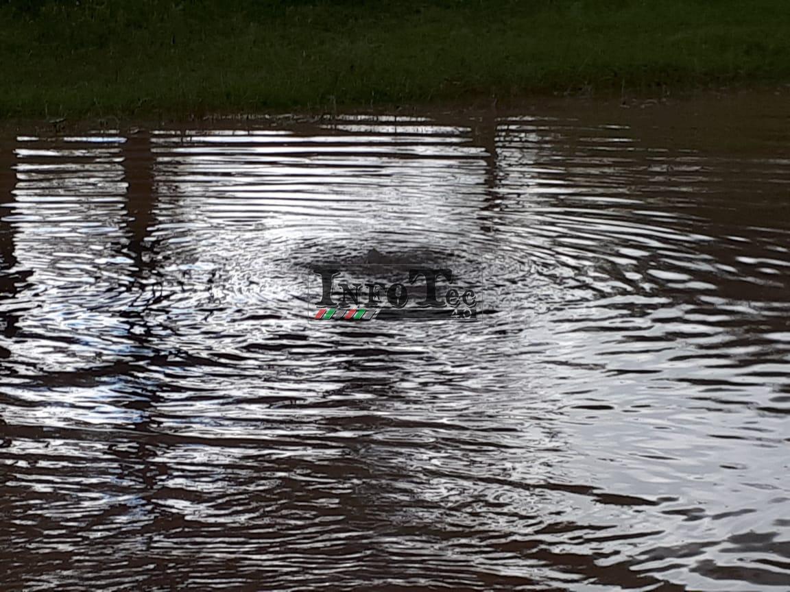 333977c5-4c03-4a58-a4e7-aa514ed68844