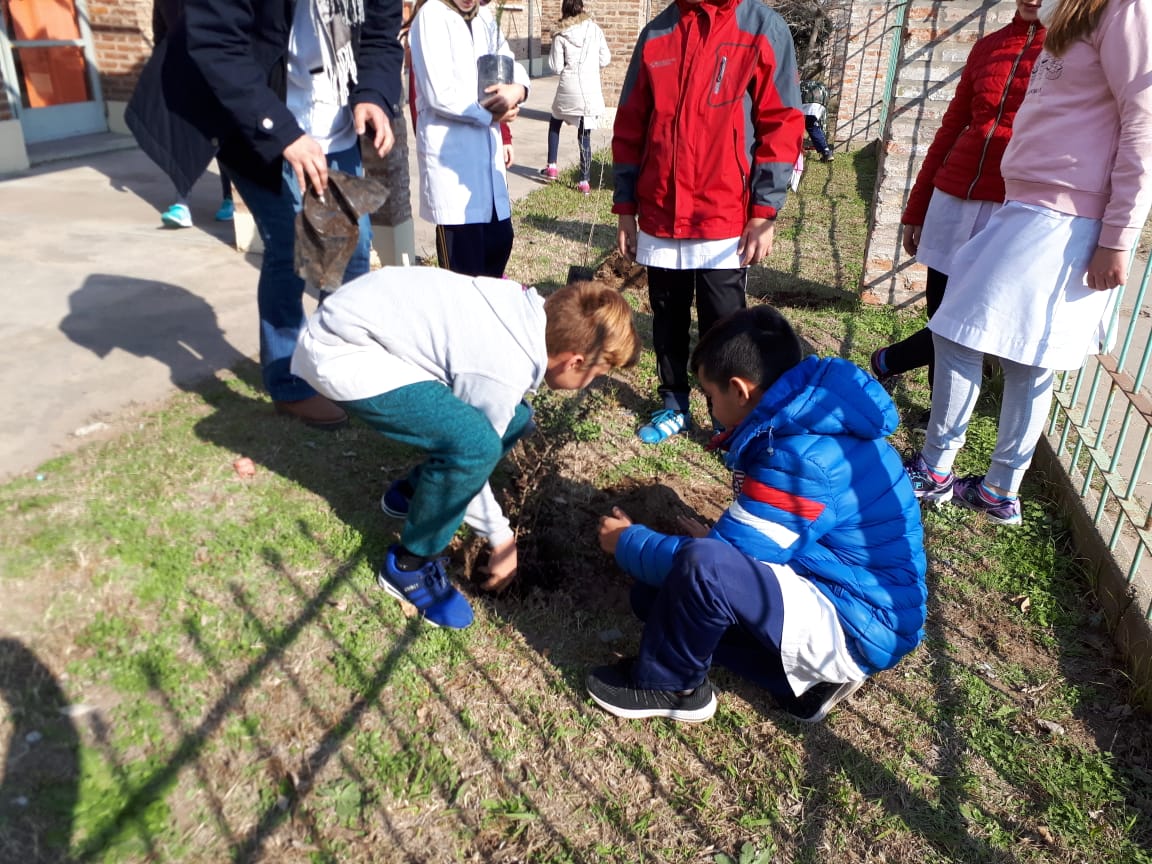 1e4930a4-38a4-4db9-a895-c4345df83f80