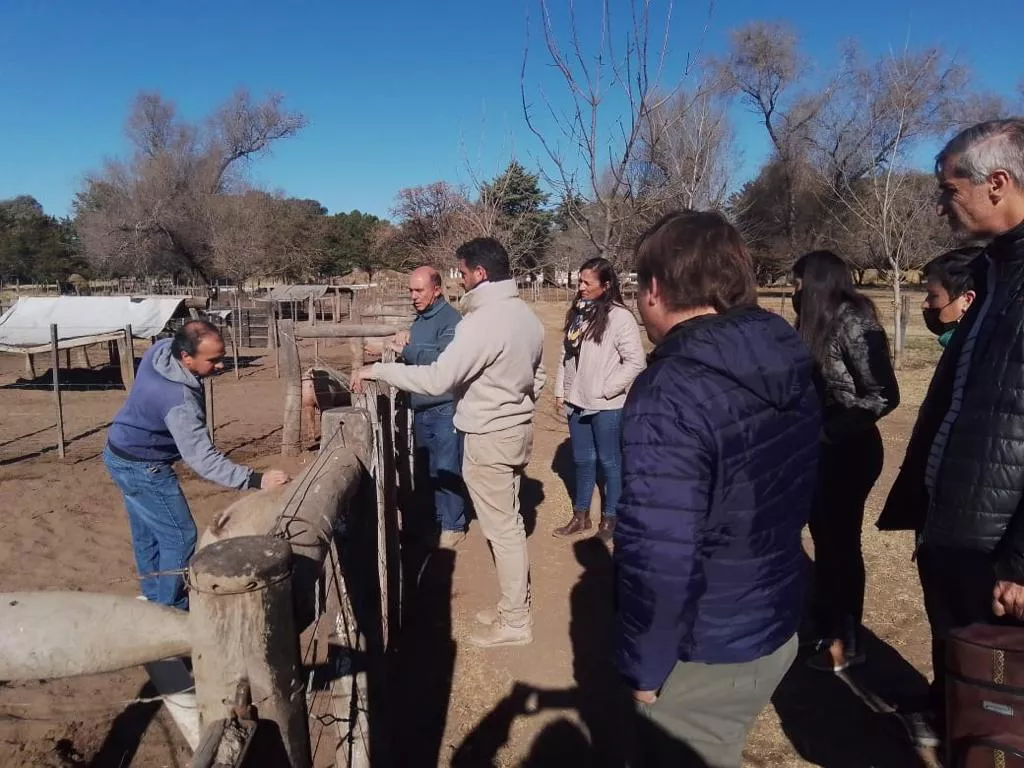 116561_img-20220625-wa0017 (1)