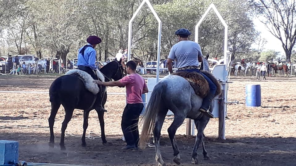 60892294_2464002433611414_3157169204466024448_n