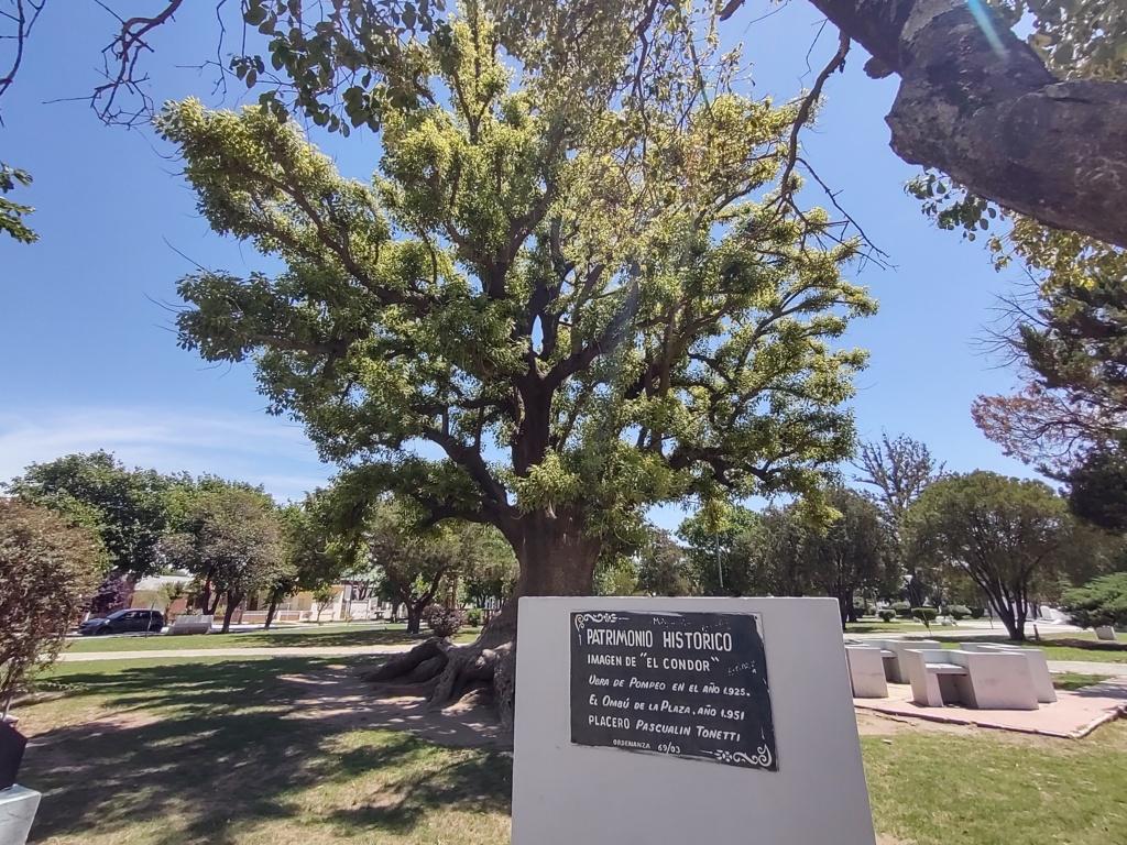 IMG_20201120_122115494_HDR (FILEminimizer)