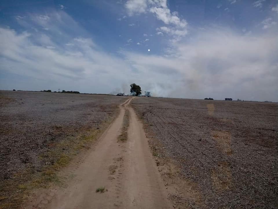 INCENDIO CAMPO PARERA 5