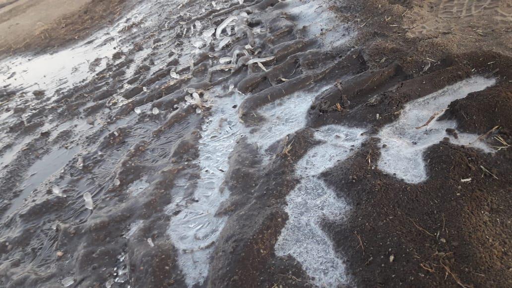 f07a79ae-f1d9-4cf9-8dc8-a8fd4b150b58