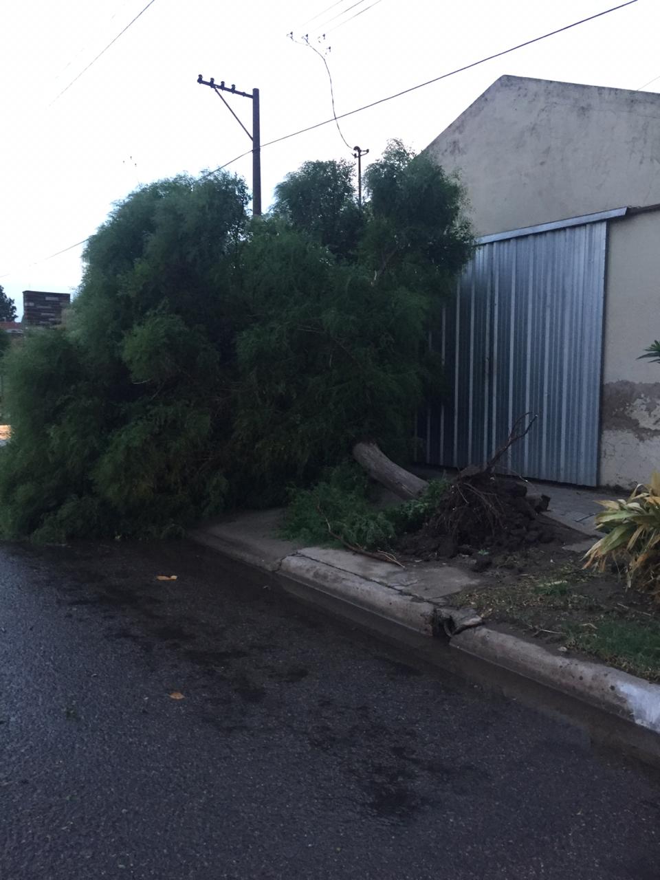 4ee3d5bd-5a43-47ed-b033-962178f4421c