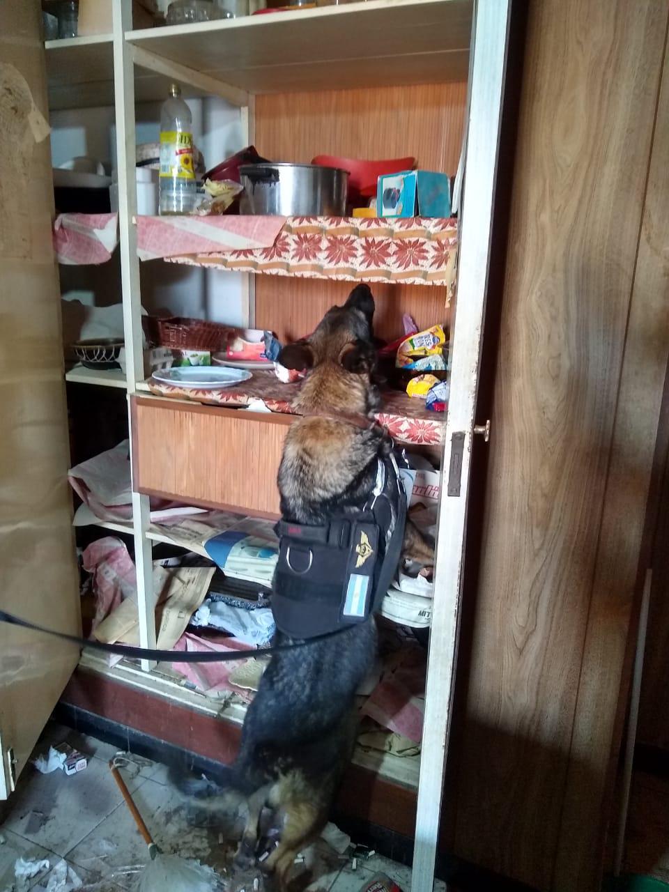 7a89d7ce-de95-48c0-8484-db7e6d0754a2