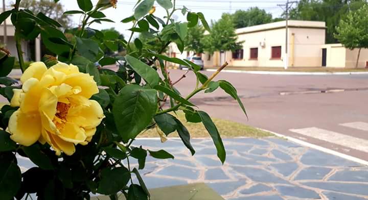 FB_IMG_1573260530497