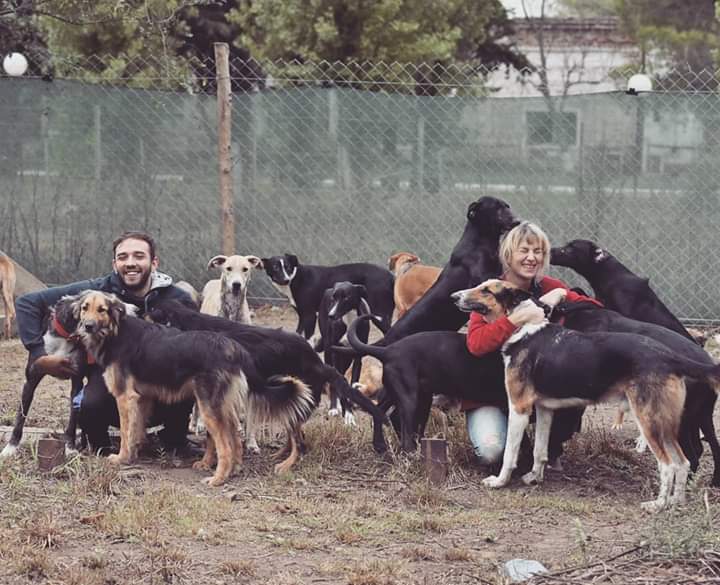 fd5b7b87-be17-479d-977f-59b9448b8c68