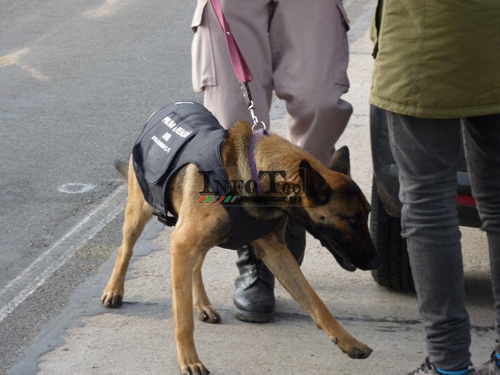 P1240512 (FILEminimizer)