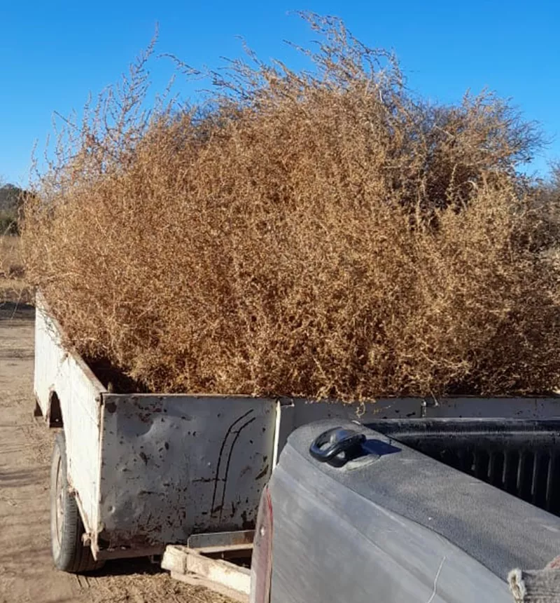 78496683-3257-46bf-adc3-e4a0a7e8589c