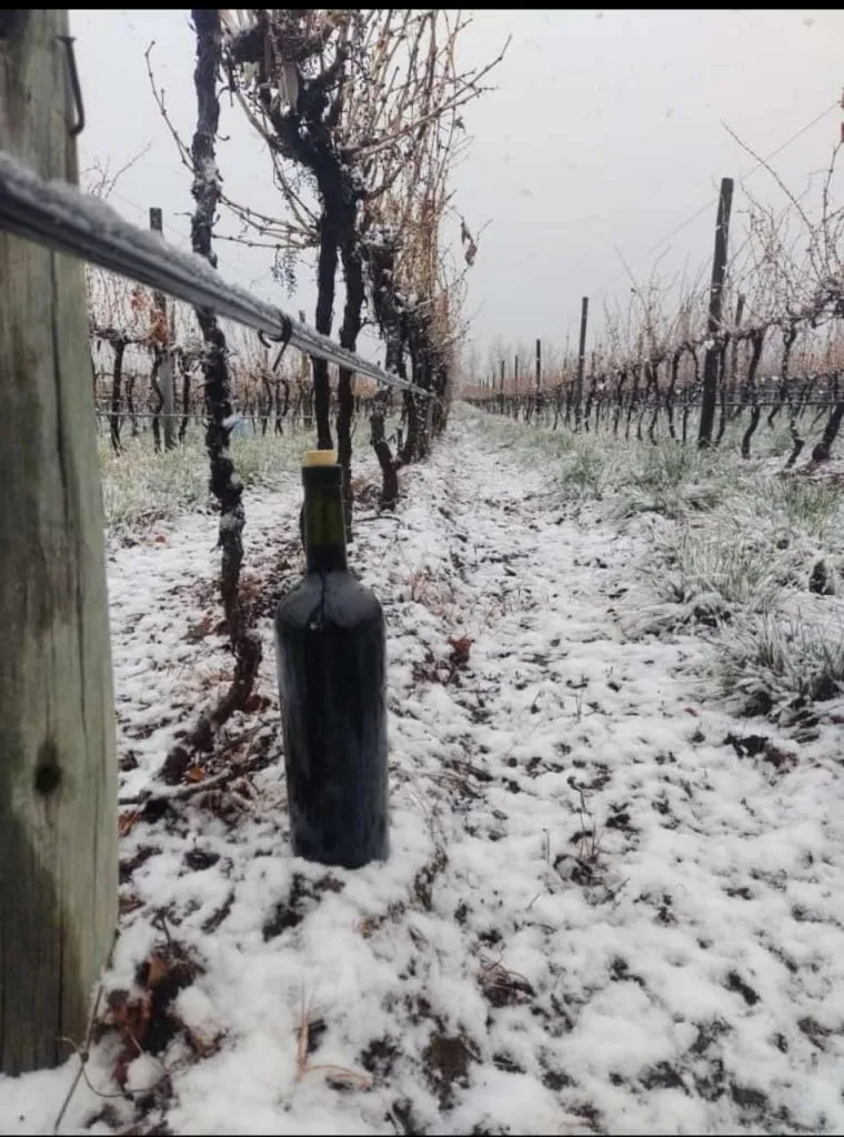 casadepiedranevada2023-1-760x1024