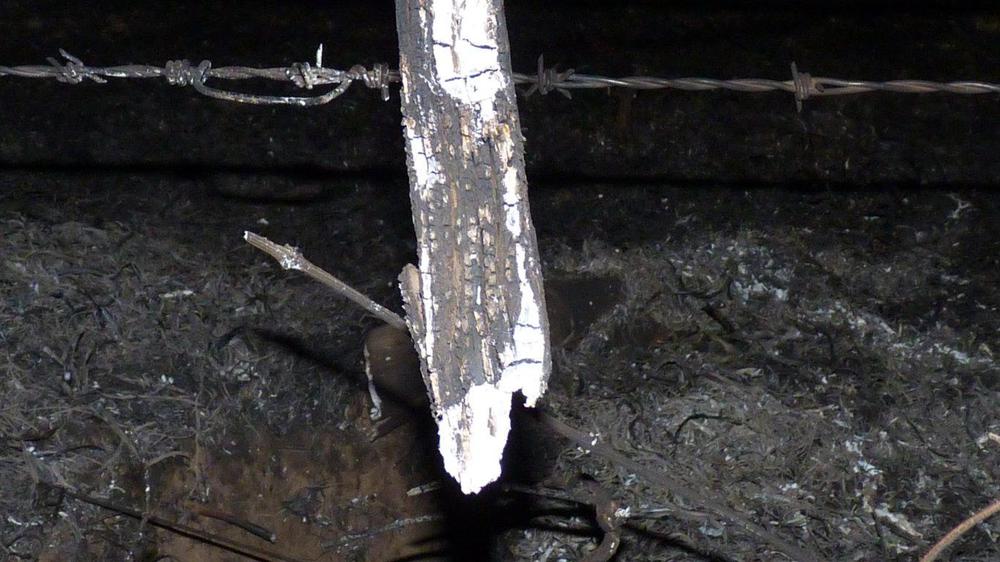 P1050715 (FILEminimizer)