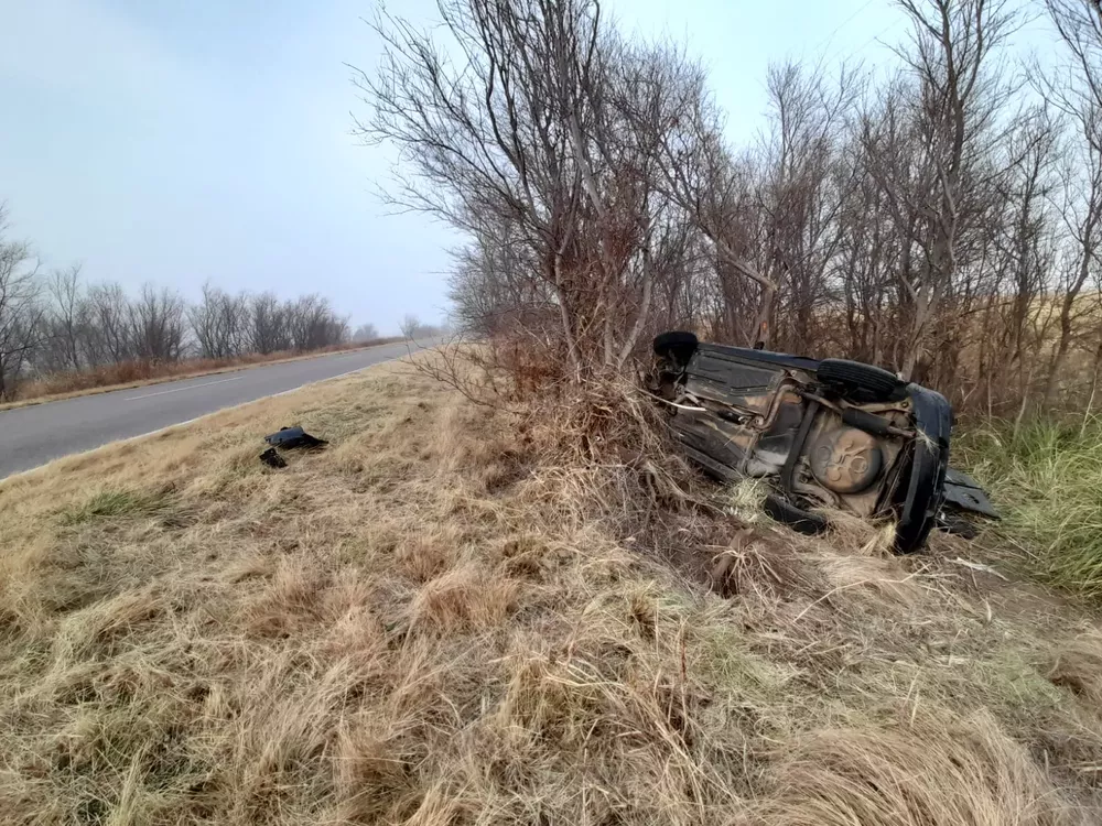 b9d3d06f-feb9-4c5c-81b6-19e14fc91926