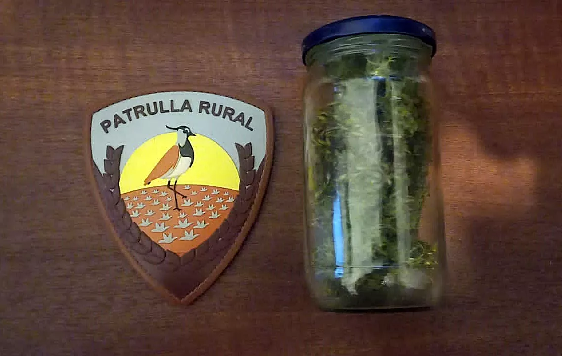 a45ba946-a03b-47d2-a299-2c1d34f962de