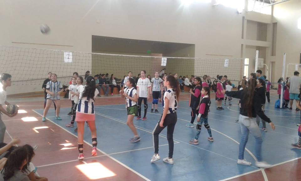 41386990_877152802673728_7191677571828809728_n