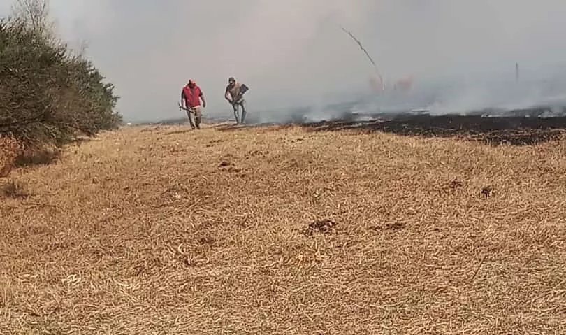 ad63c231-8c31-4e4d-9738-bca4f1a41802