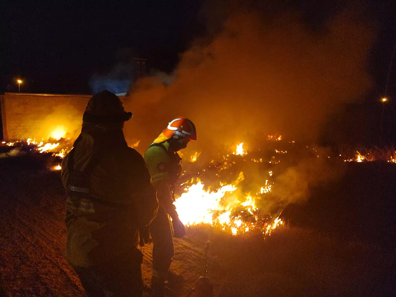 8d6a6768-77c4-4451-abc8-ad0c4d257ecf