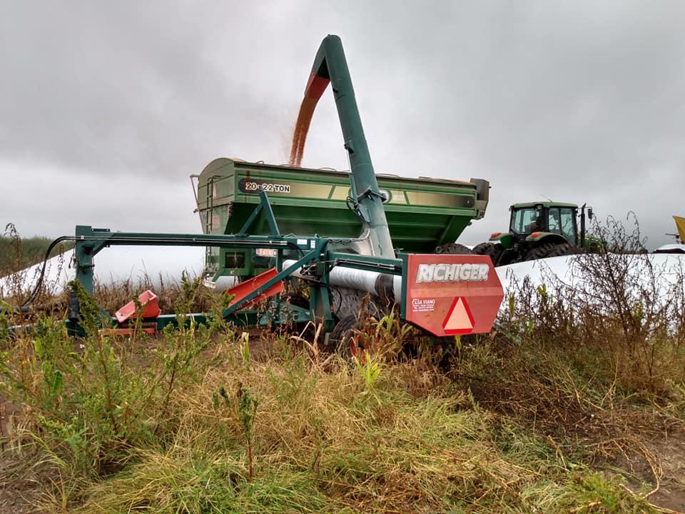 Guillermo Genovesio quedate en casa 2
