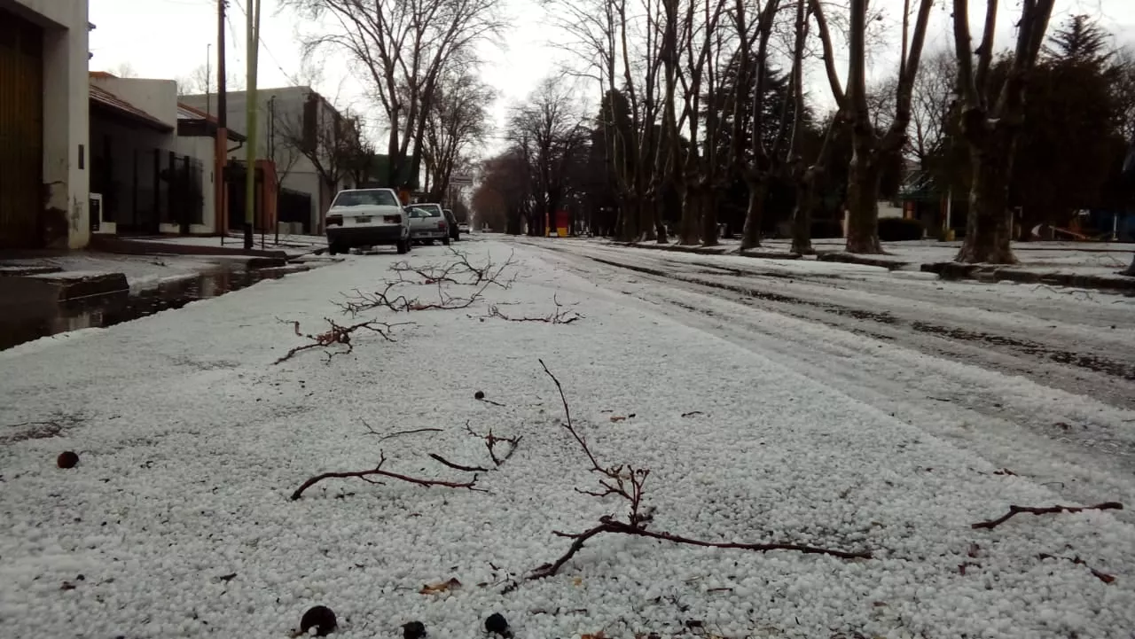 228942975_10159951431183896_2988460514692354372_n