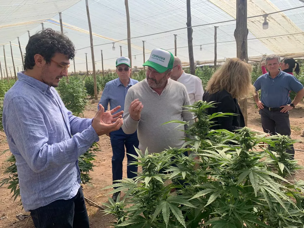 ddd5dbe1-2b92-436a-b767-59a67e5338b6