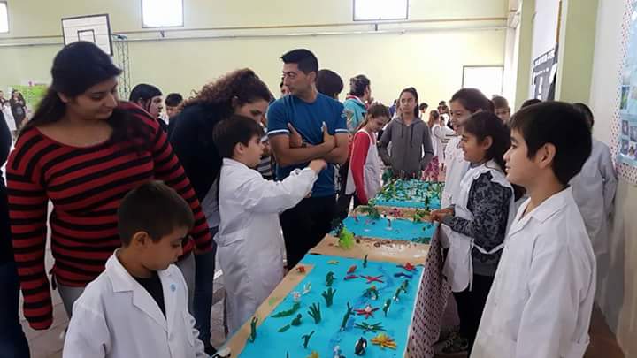 FB_IMG_1526653959458