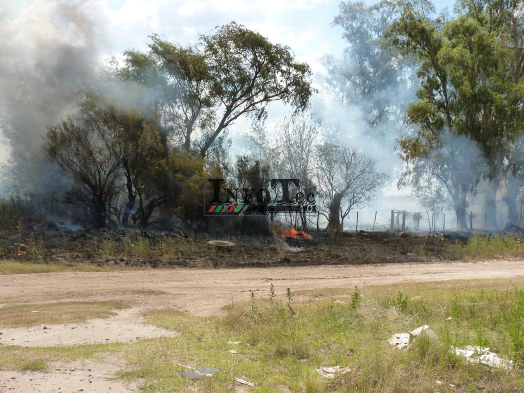 P1320306 (FILEminimizer)