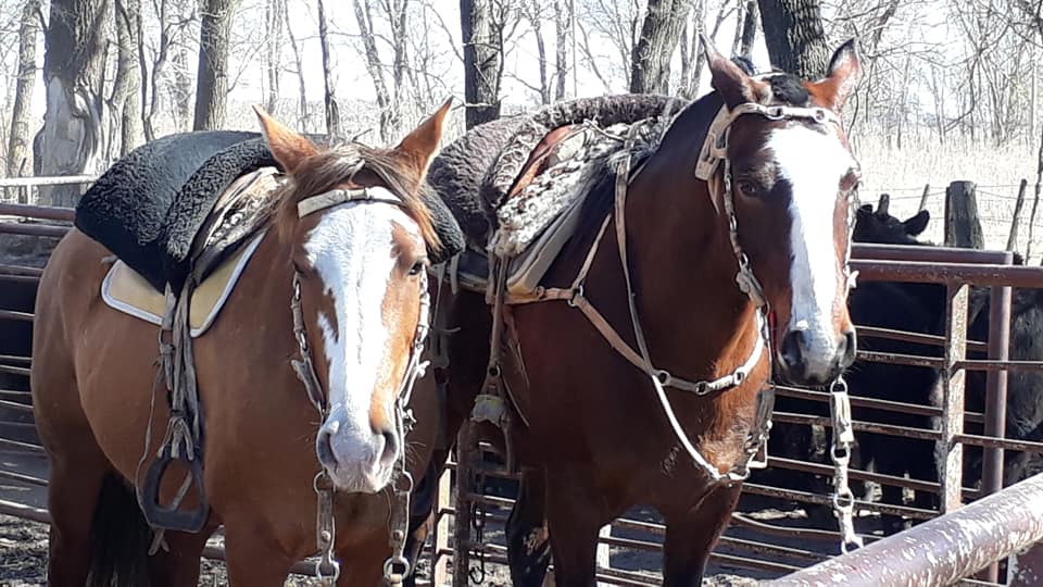 69888398_2642846605726995_584191534522433536_n