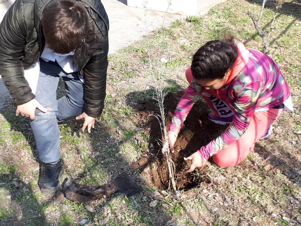 972f750d-e29f-4af3-8981-aafdb58a97c5