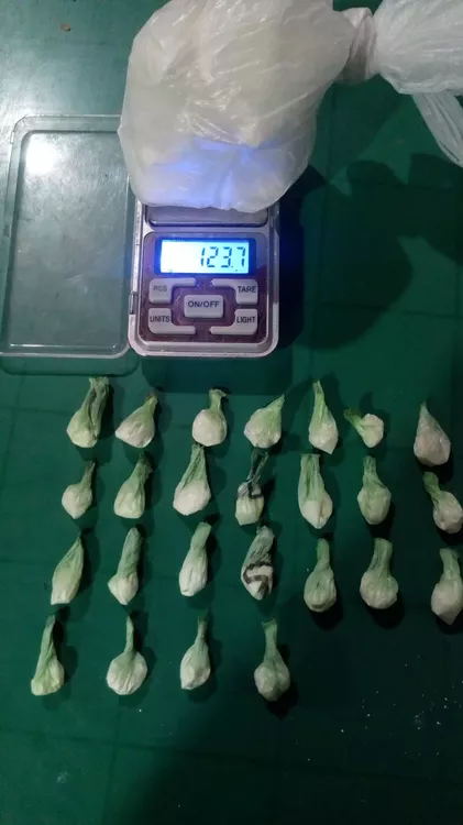 120306_whatsapp-image-2023-04-28-at-11.58.56