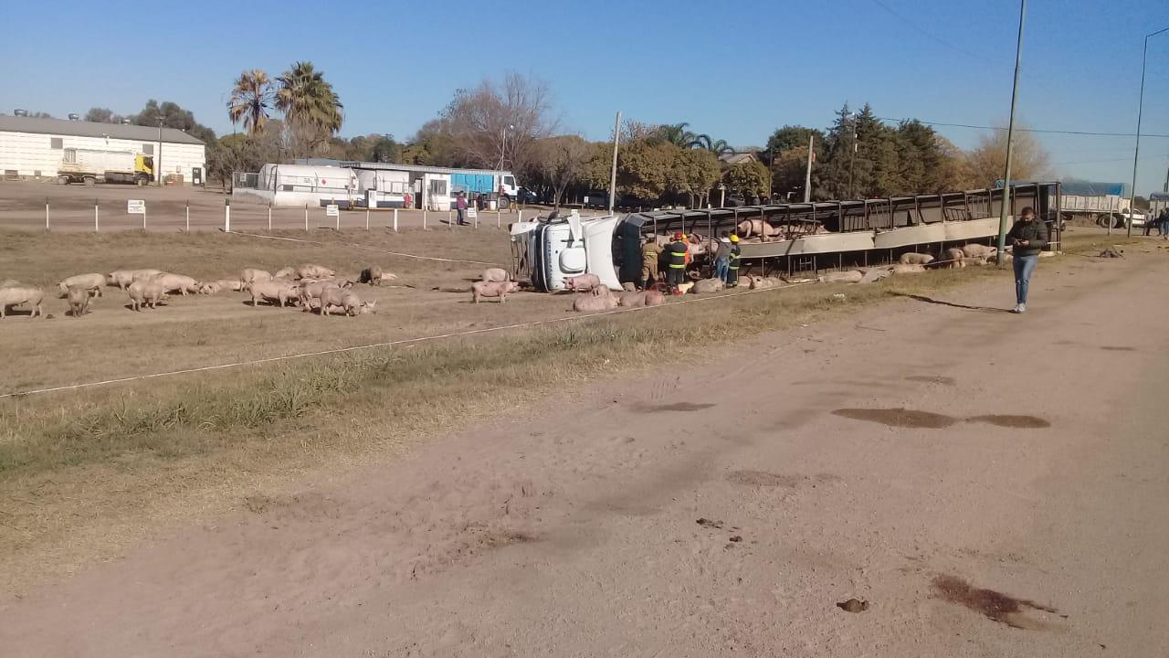 WhatsApp-Image-2020-07-02-at-11.47.43