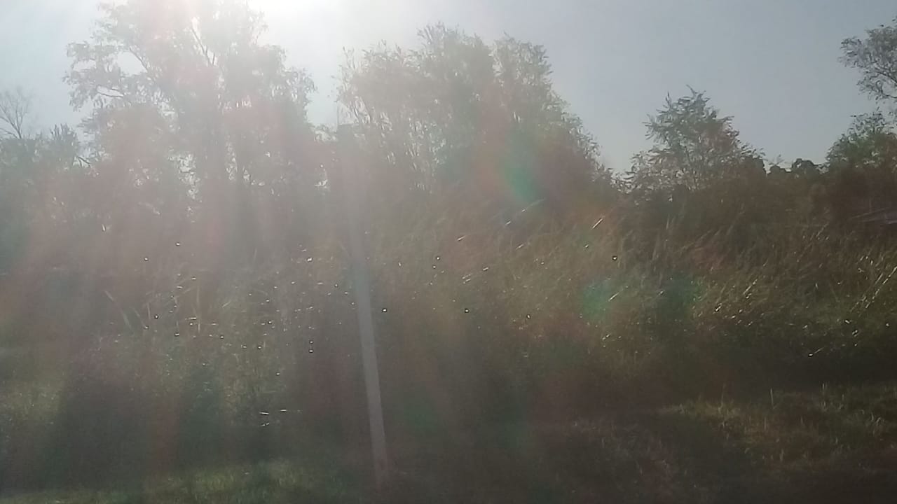 efb9bbf7-dba6-4bcf-a2b5-d8806bd1930a