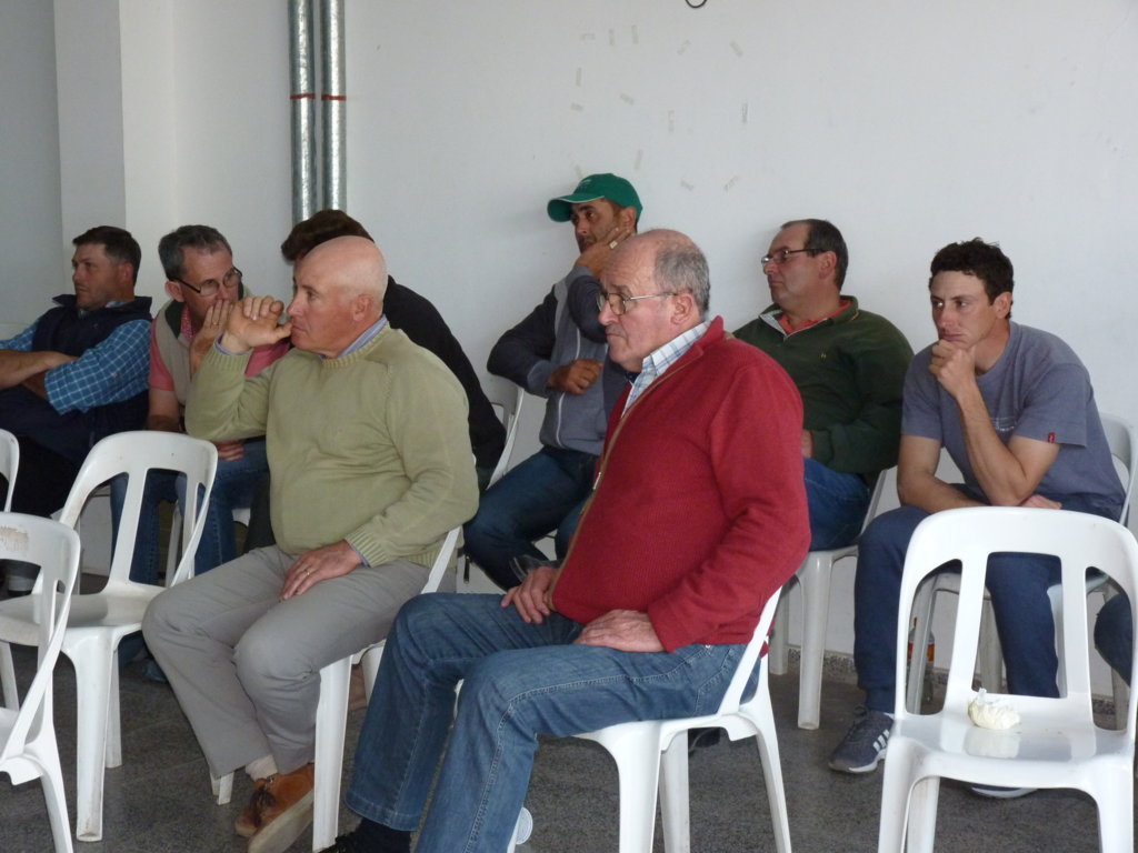 P1260716 (FILEminimizer)