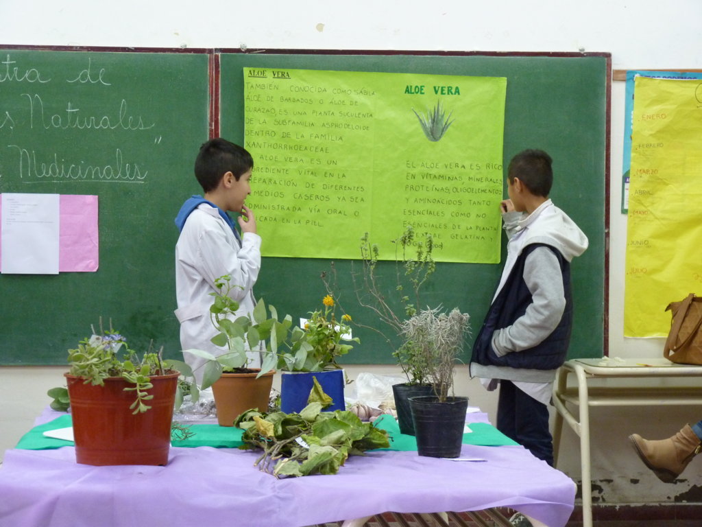 P1200913 (FILEminimizer)