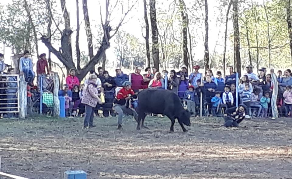 61446383_2464004593611198_6015146404362584064_n