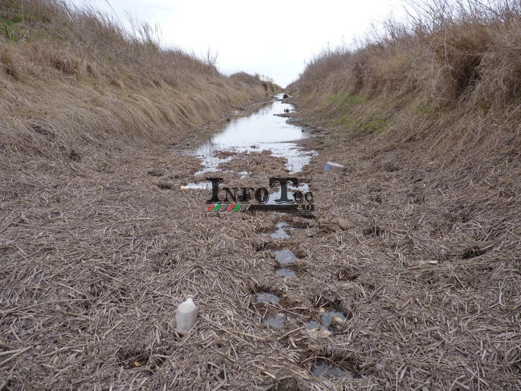 P1250386 (FILEminimizer)