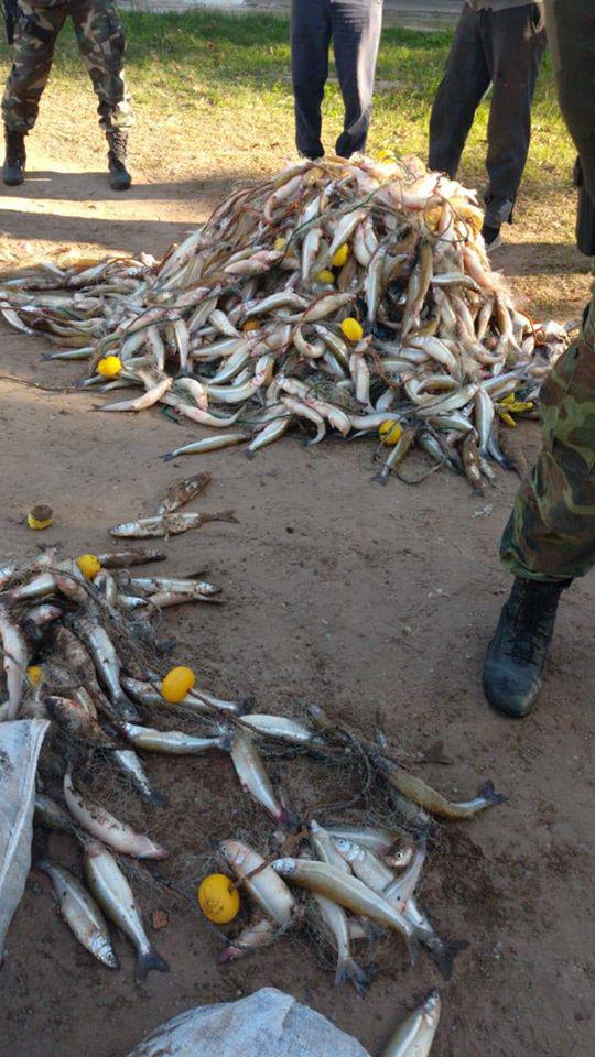 98090912_660184638171440_8133797039256371200_o