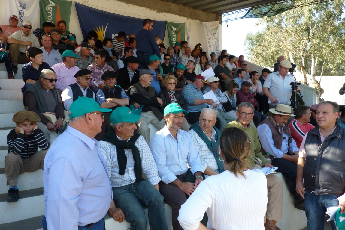 P1410862 (FILEminimizer)