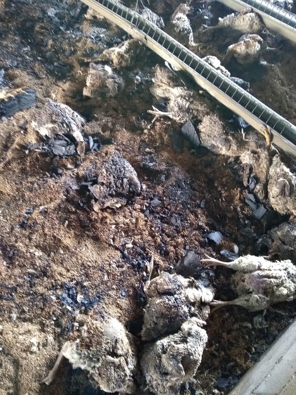 9d7297e7-6065-4be7-91b2-52ea2f141210