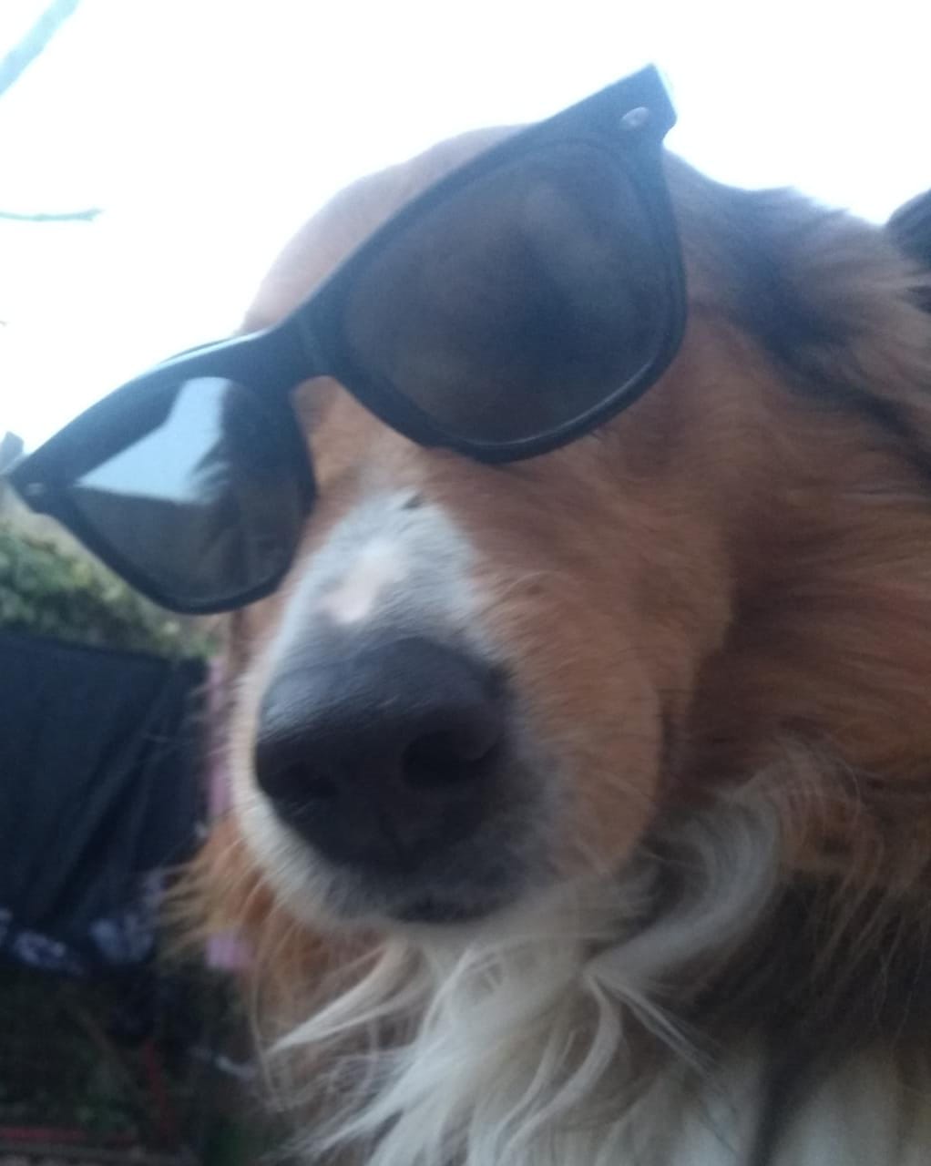 e0df630d-bdd6-4686-bc09-e317909905bb