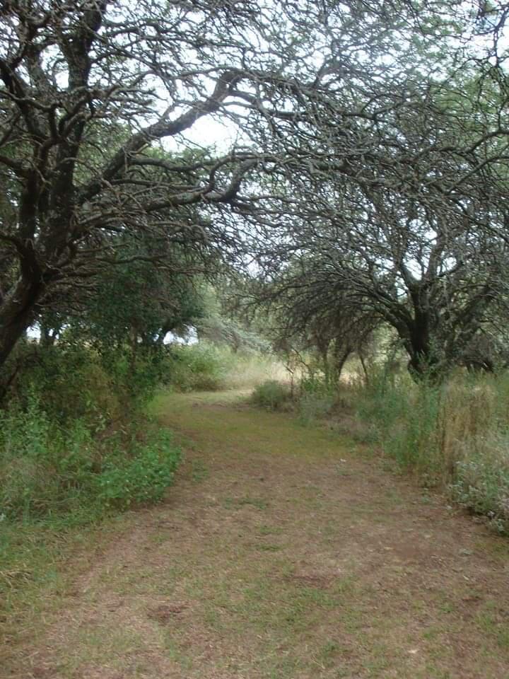 Jardín Botánico Provincial