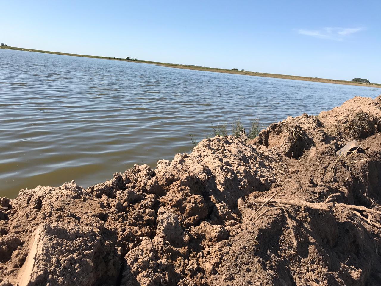 b1bad222-dbd3-4c0d-9870-878d83ee73f7