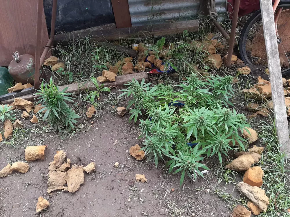 WhatsApp Image 2021-11-02 at 13.02.49 (1)