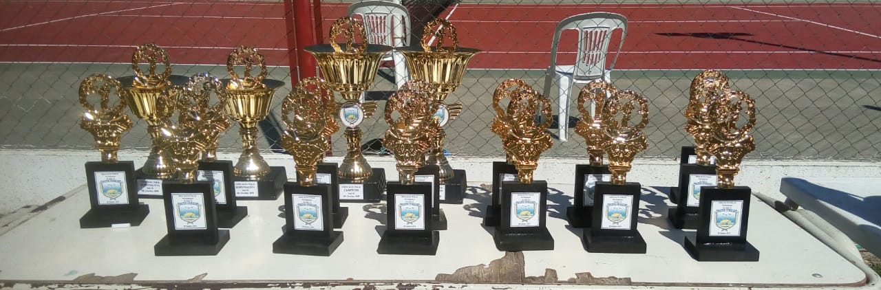 ecdb5612-7870-4d60-a468-1819c7a3d84c