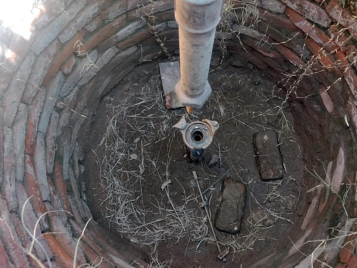 ff305f8b-11f9-43f6-8224-dc558c704948