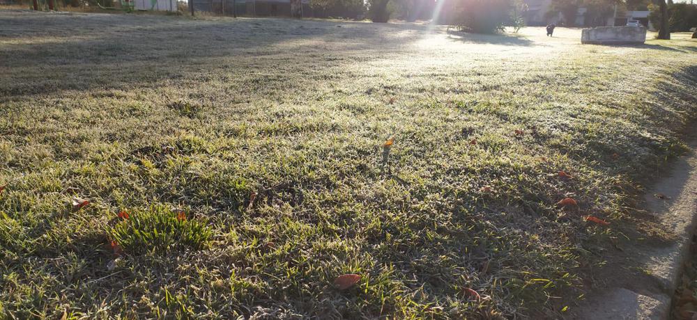 17c9845b-4eb6-4d6c-bb82-ad084e678a9a