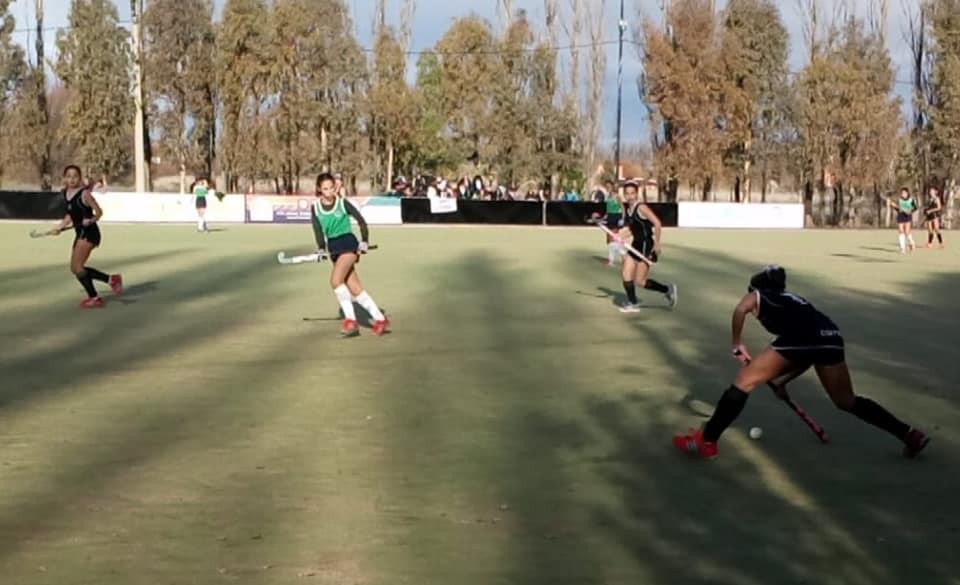 65226634_2523484960996494_1325115333438078976_n