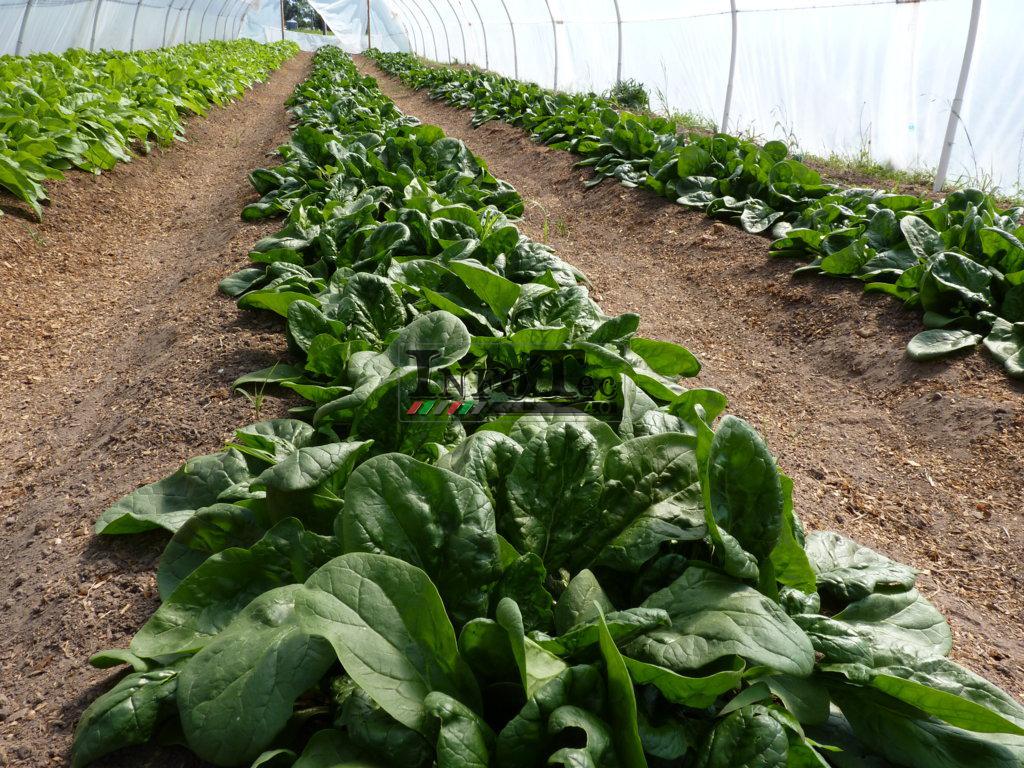 P1280339 (FILEminimizer)