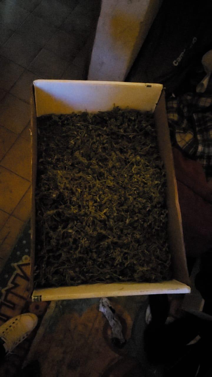 fb5076b8-03a8-4f75-8a2b-3fb58392ff33