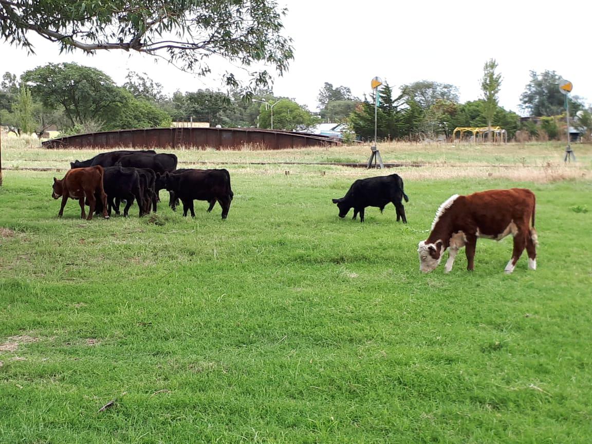 7e4023dc-3059-4e08-911e-6ae761458b58